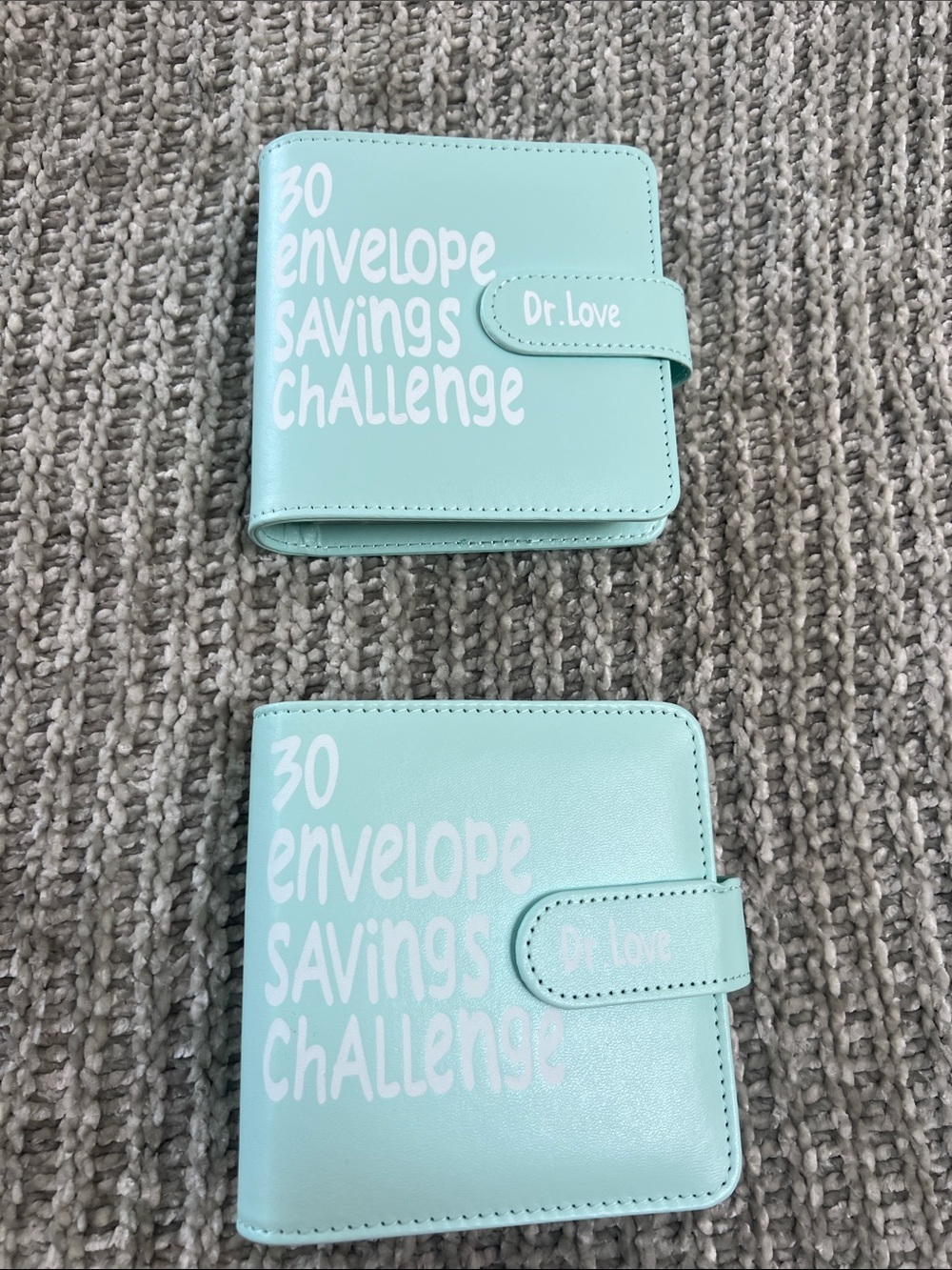 Two New 30 Envelope Savings Challenge Binder - Mint with White Text